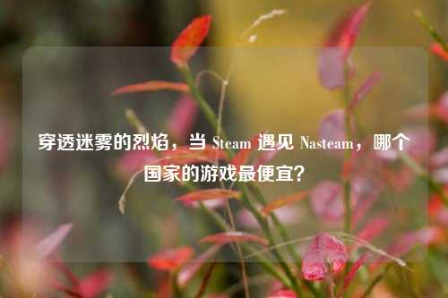 穿透迷雾的烈焰,当 Steam 遇见 Nasteam,哪个国家的游戏最便宜?