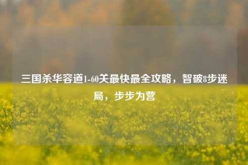 三国杀华容道1-60关最快最全攻略,智破8步迷局,步步为营