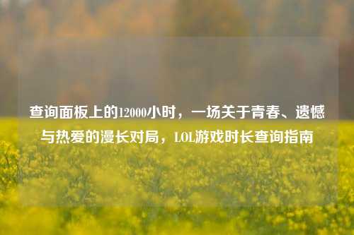 查询面板上的12000小时,一场关于青春、遗憾与热爱的漫长对局,LOL游戏时长查询指南