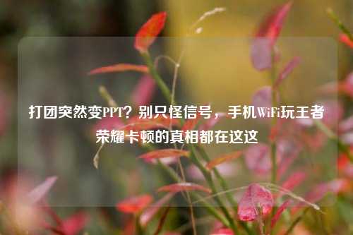 打团突然变PPT?别只怪信号,手机WiFi玩王者荣耀卡顿的真相都在这这
