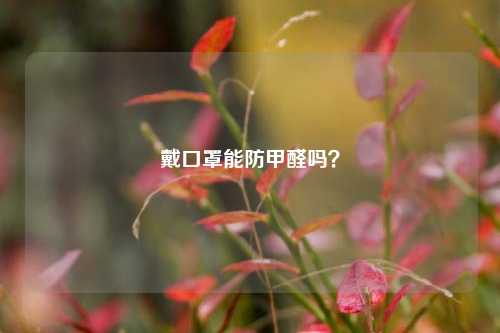 戴口罩能防甲醛吗?