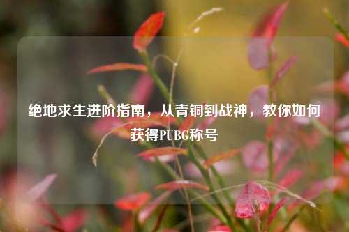绝地求生进阶指南,从青铜到战神,教你如何获得PUBG称号