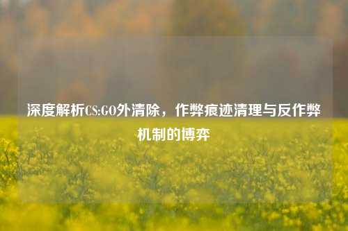深度解析CS:GO外清除,作弊痕迹清理与反作弊机制的博弈