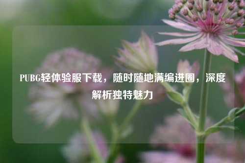 PUBG轻体验服下载,随时随地满编进圈,深度解析独特魅力