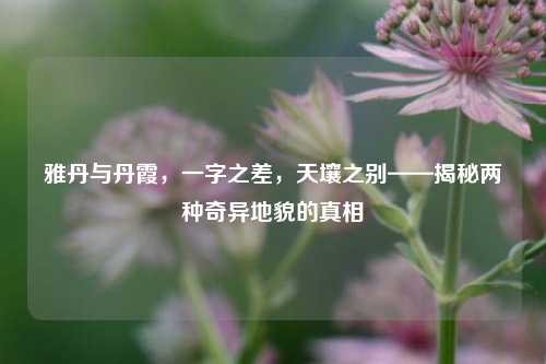 雅丹与丹霞,一字之差,天壤之别——揭秘两种奇异地貌的真相