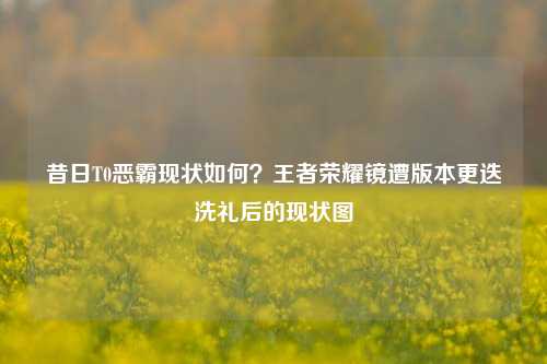 昔日T0恶霸现状如何?王者荣耀镜遭版本更迭洗礼后的现状图