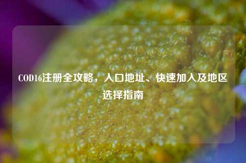 COD16注册全攻略,入口地址、快速加入及地区选择指南