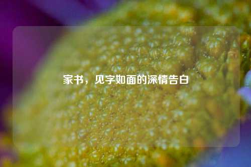 家书,见字如面的深情告白