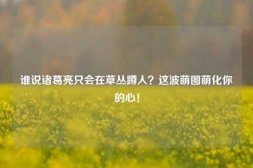 谁说诸葛亮只会在草丛蹲人?这波萌图萌化你的心!