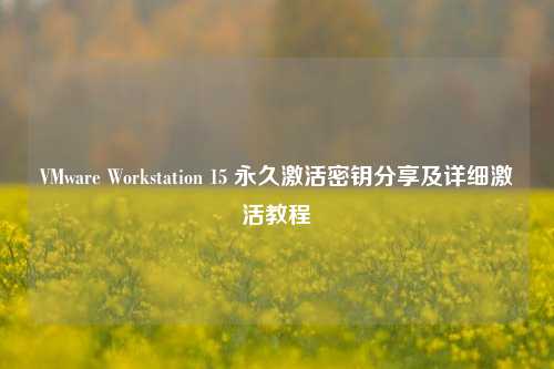 VMware Workstation 15 永久激活密钥分享及详细激活教程