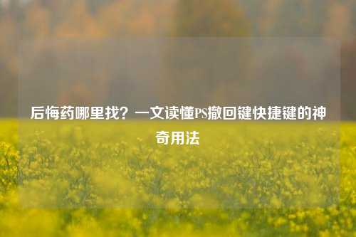后悔药哪里找?一文读懂PS撤回键快捷键的神奇用法