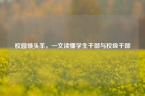校园领头羊,一文读懂学生干部与校级干部