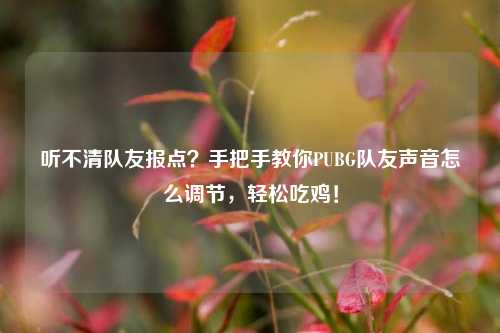 听不清队友报点?手把手教你PUBG队友声音怎么调节,轻松吃鸡!