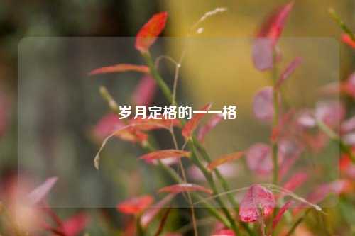 岁月定格的一一格