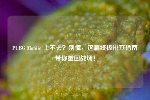 PUBG Mobile 上不去?别慌,这篇终极排查指南带你重回战场!