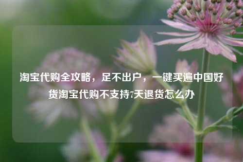 淘宝代购全攻略,足不出户,一键买遍中国好货淘宝代购不支持7天退货怎么办