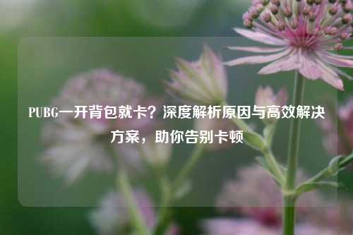 PUBG一开背包就卡?深度解析原因与高效解决方案,助你告别卡顿