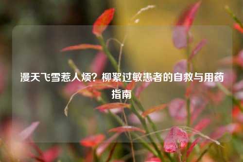 漫天飞雪惹人烦?柳絮过敏患者的自救与用药指南