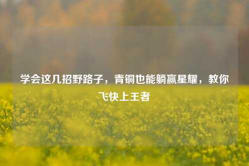 学会这几招野路子,青铜也能躺赢星耀,教你飞快上王者