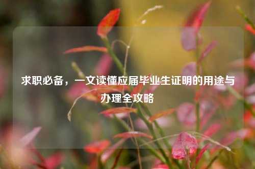 求职必备,一文读懂应届毕业生证明的用途与办理全攻略