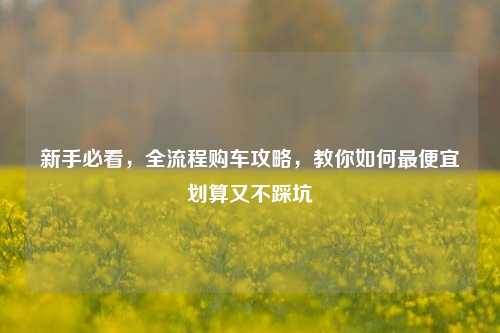 新手必看,全流程购车攻略,教你如何最便宜划算又不踩坑