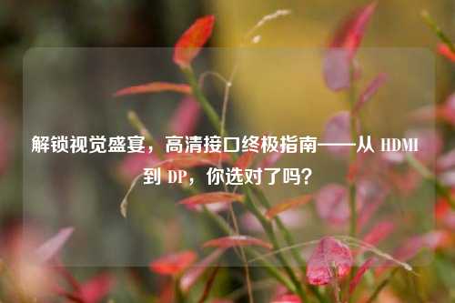解锁视觉盛宴,高清接口终极指南——从 HDMI 到 DP,你选对了吗?