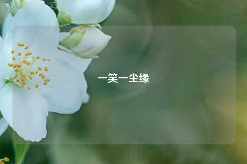 一笑一尘缘