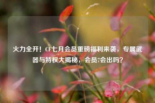 火力全开!CF七月会员重磅福利来袭,专属武器与特权大揭秘,会员7会出吗?