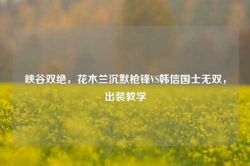 峡谷双绝,花木兰沉默枪锋VS韩信国士无双,出装教学
