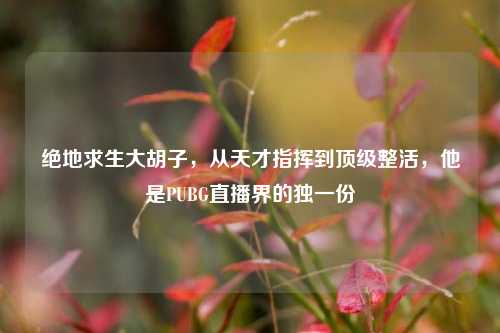 绝地求生大胡子,从天才指挥到顶级整活,他是PUBG直播界的独一份