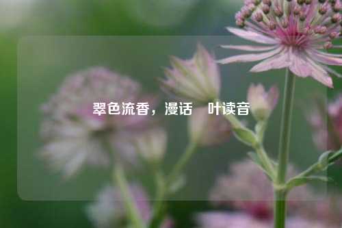 翠色流香,漫话柊叶读音