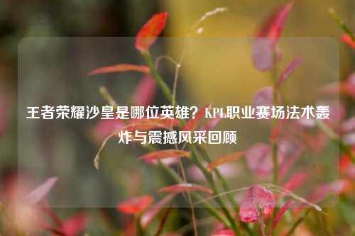 王者荣耀沙皇是哪位英雄?KPL职业赛场法术轰炸与震撼风采回顾