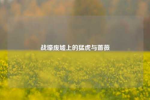 战壕废墟上的猛虎与蔷薇