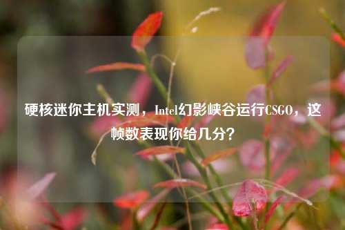 硬核迷你主机实测,Intel幻影峡谷运行CSGO,这帧数表现你给几分?