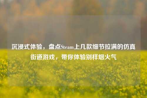 沉浸式体验,盘点Steam上几款细节拉满的仿真街道游戏,带你体验别样烟火气