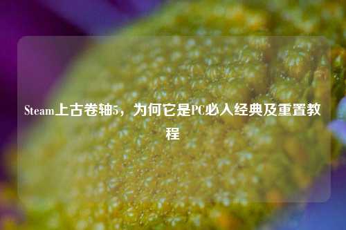 Steam上古卷轴5,为何它是PC必入经典及重置教程