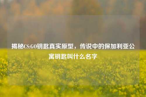 揭秘CS:GO钥匙真实原型,传说中的保加利亚公寓钥匙叫什么名字
