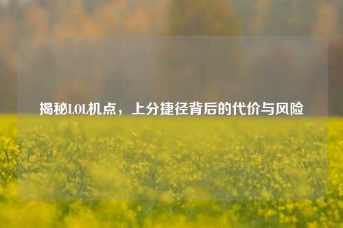 揭秘LOL机点,上分捷径背后的代价与风险