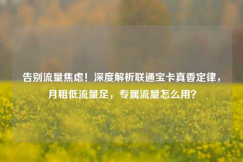 告别流量焦虑!深度解析联通宝卡真香定律,月租低流量足,专属流量怎么用?