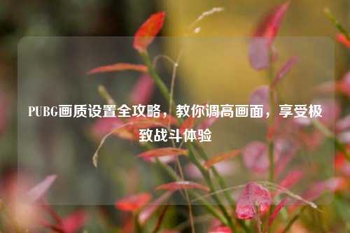 PUBG画质设置全攻略,教你调高画面,享受极致战斗体验