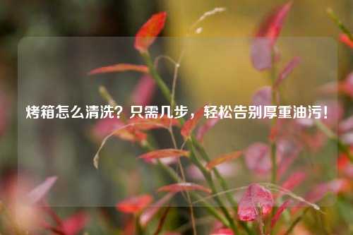 烤箱怎么清洗?只需几步,轻松告别厚重油污!