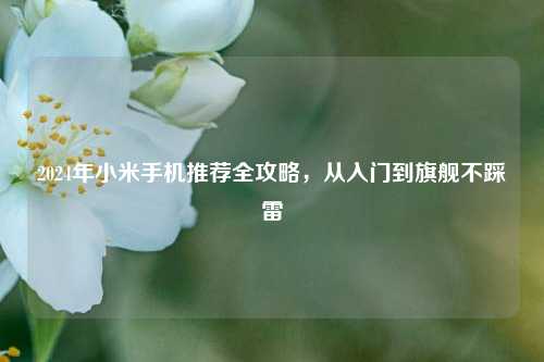 2024年小米手机推荐全攻略,从入门到旗舰不踩雷