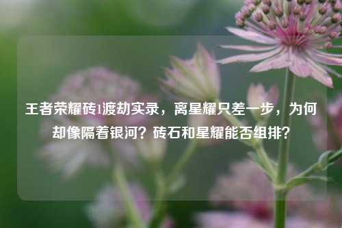 王者荣耀砖1渡劫实录,离星耀只差一步,为何却像隔着银河?砖石和星耀能否组排?