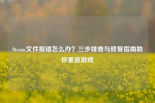 Steam文件报错怎么办?三步排查与修复指南助你重返游戏