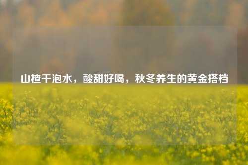 山楂干泡水,酸甜好喝,秋冬养生的黄金搭档