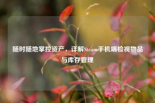 随时随地掌控资产,详解Steam手机端检视物品与库存管理