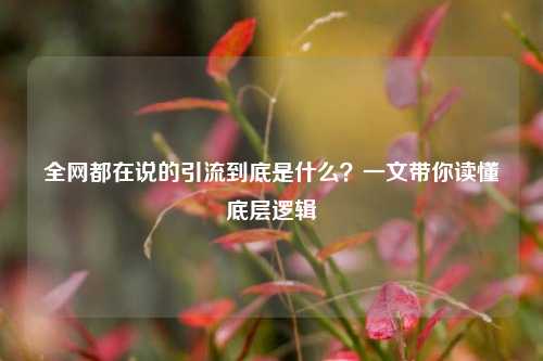 全网都在说的引流到底是什么?一文带你读懂底层逻辑