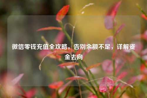 微信零钱充值全攻略,告别余额不足,详解资金去向