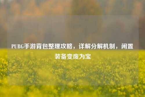 PUBG手游背包整理攻略,详解分解机制,闲置装备变废为宝