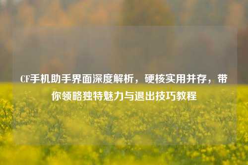 CF手机助手界面深度解析,硬核实用并存,带你领略独特魅力与退出技巧教程